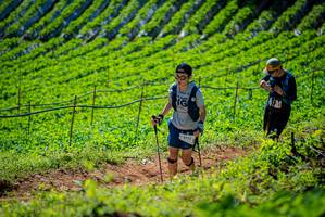 BIB: 
                            <button type="button" onclick="openModal(19162827)" class="btn btn-primary btn-sm float-right btn-popup" data-toggle="modal" data-target=".modal-high-quality">
                        <i class="fas fa-shopping-cart"></i> Add to Cart
                    </button>
                                            <button type="button" onclick="isThisMe(19162827, true)" class="btn btn-success btn-sm float-right btn-popup btn-isme hidden" data-toggle="tooltip" data-placement="bottom" title="นี่คือรูปของคุณใช่ไหม คลิกที่นี่เพื่อเอาเข้าอัลบั้ม">
                        <i class="fas fa-plus"></i> Add to album
                    </button>
                    <button type="button" onclick="isThisMe(19162827, false)" class="btn btn-warning btn-sm float-right btn-popup btn-isnotme hidden">
                        <i class="fas fa-ban"></i> Remove from album
                    </button>